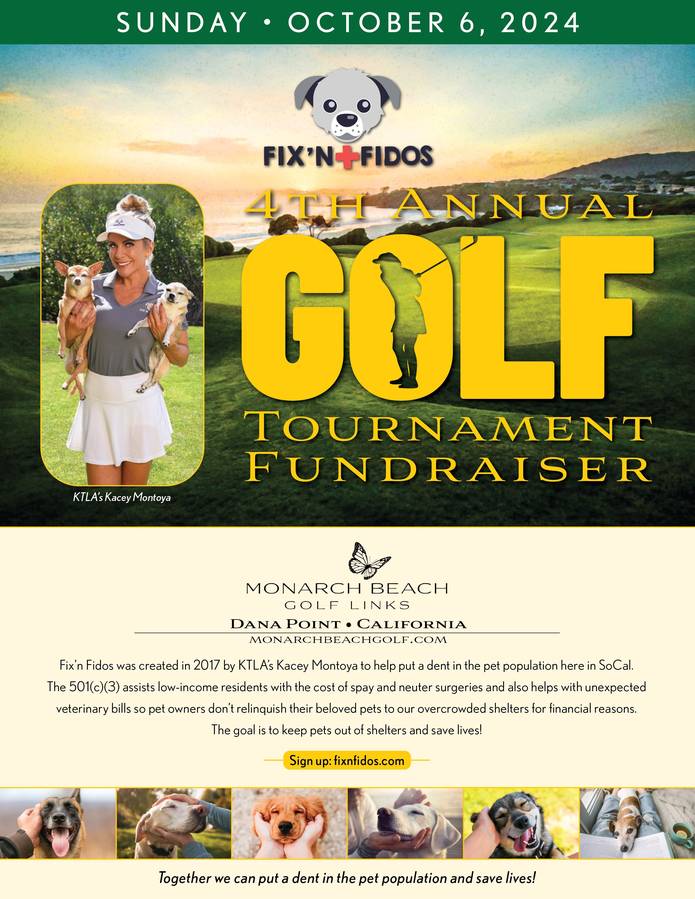 Fix'n Fidos — Golf Tournament Flier