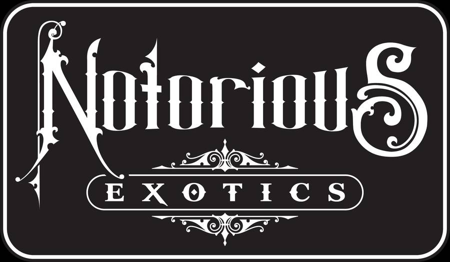 Notorious Exotics